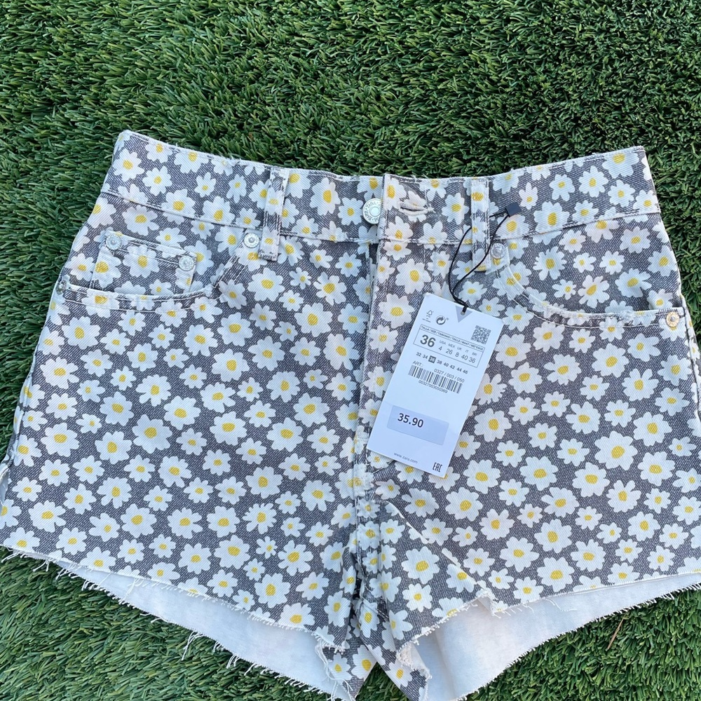 Zara Daisy shorts